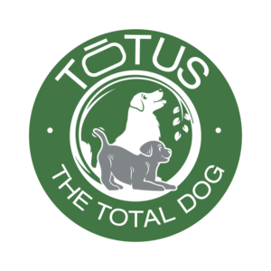 Logo Design by firebird2011