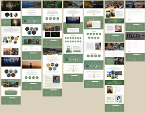 Web Design by pb for this project | Design #28784839