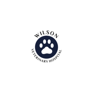 Logo Design by jinbai for this project | Design: #28017407