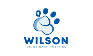 Logo Design by logoQ for this project | Design: #28028569