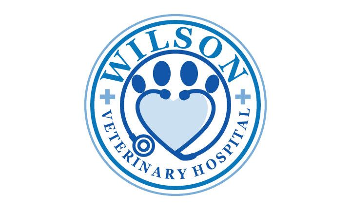 Logo Design by logoQ for this project | Design #28028571