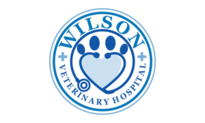 Logo Design by logoQ for this project | Design: #28028571
