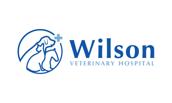 Logo Design by logoQ for this project | Design #28033193