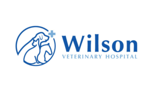Logo Design by logoQ for this project | Design: #28033193