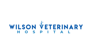 Logo Design by logoQ for this project | Design: #28033194