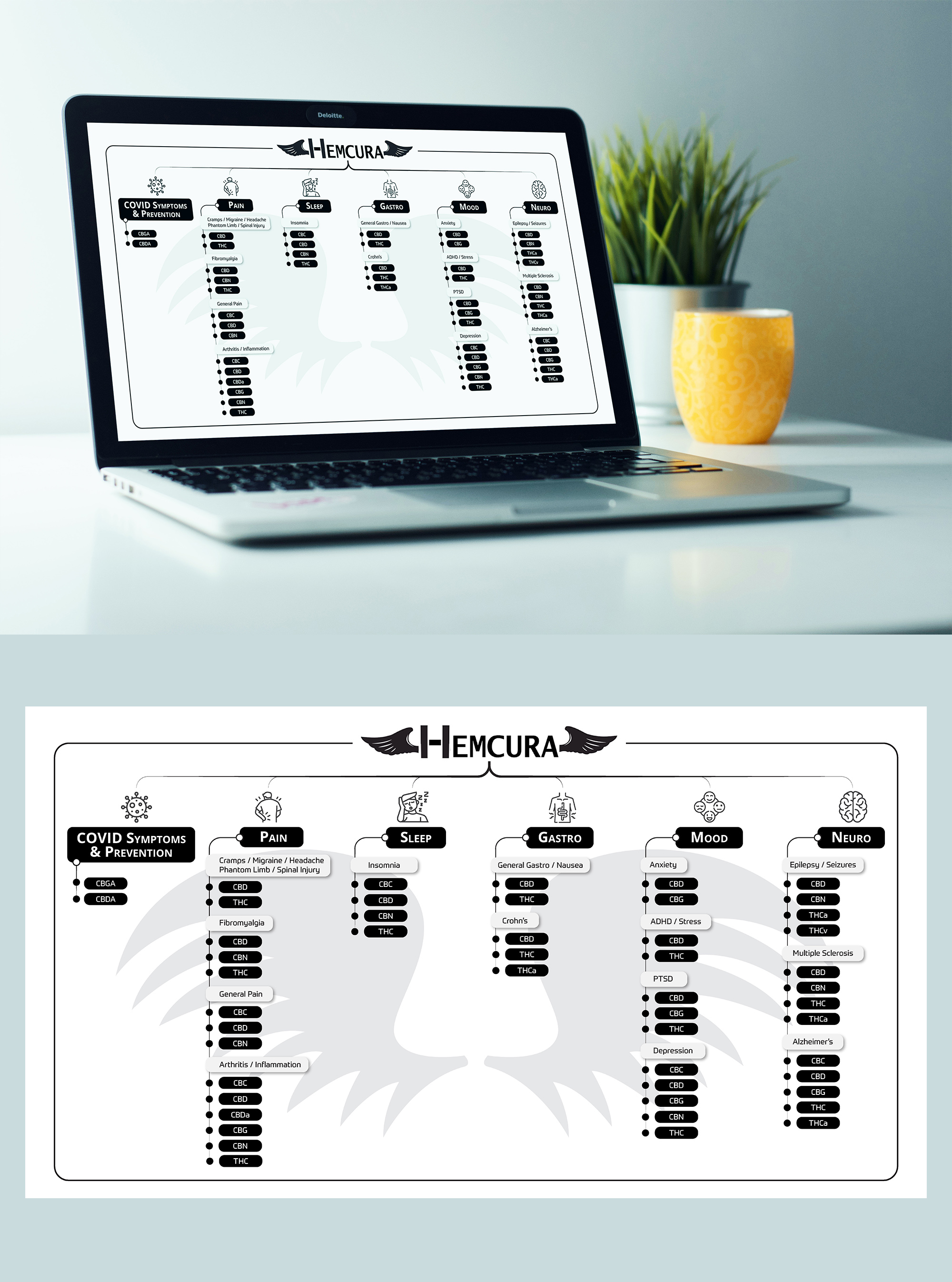 Design Infographie par JanuXart pour ce projet | Design #28065699
