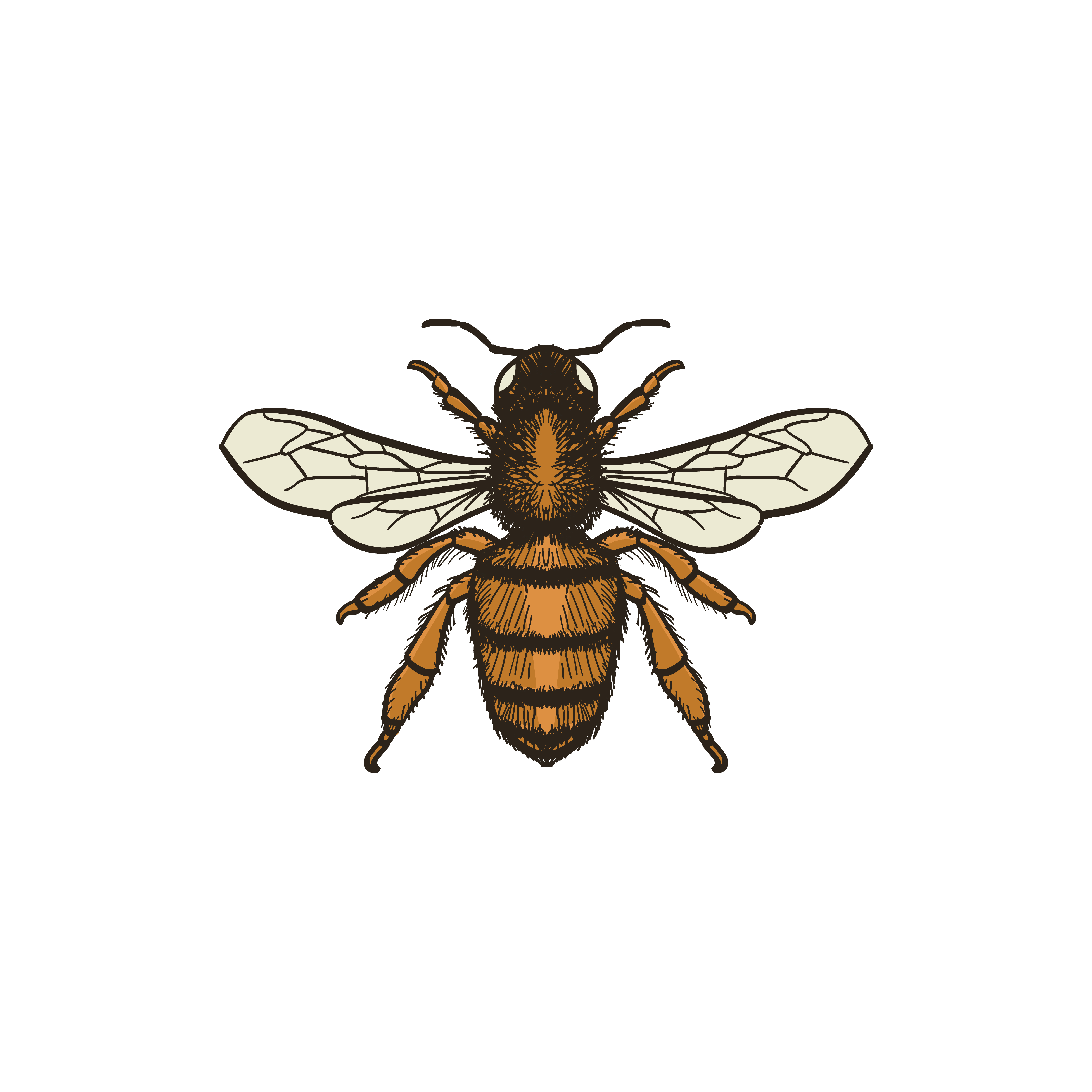 Logo Design by yudaharv for this project | Design #28253775