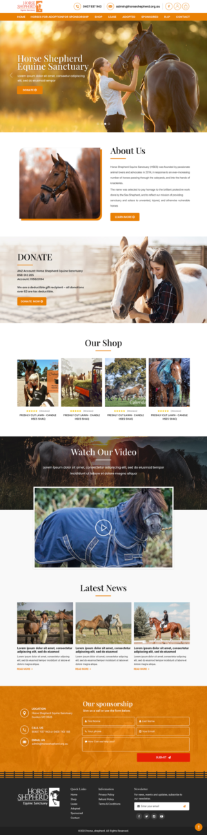 Upgrade Wordpress Website | Diseño Web por Titan Eagle