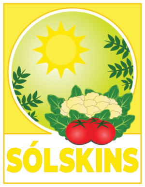 Design de Logo par angahcik pour Farvegur Travel Investments | Design : #28047938