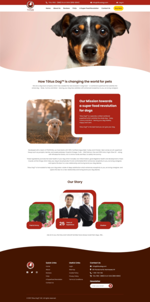 Web Design by DigiMotto for Actus Analytical, Inc. | Design: #28053112