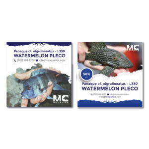 Stationery Design by R.design for this project | Design: #28036597