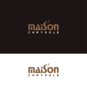 Diseño de Logo por Deziners Zone para STN TRESSAGE | Diseño: #28031778