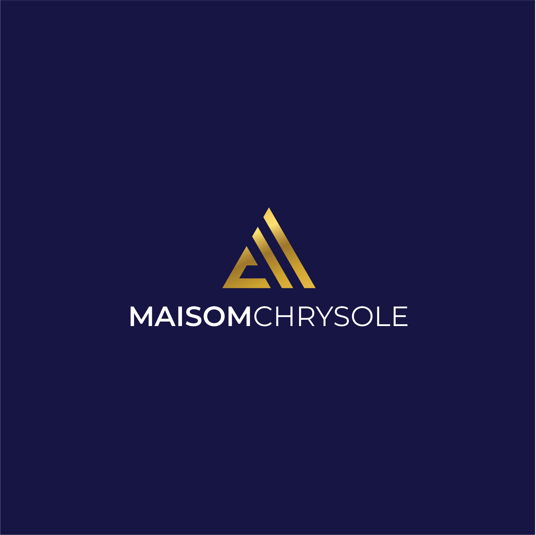 Diseño de Logo por Sandzej para STN TRESSAGE | Diseño #28025462