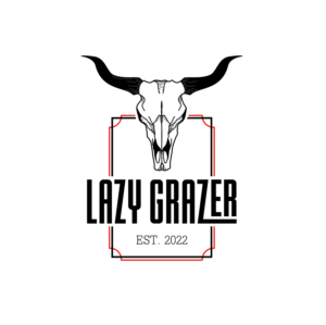 Logo Design by Graphic studio Jano