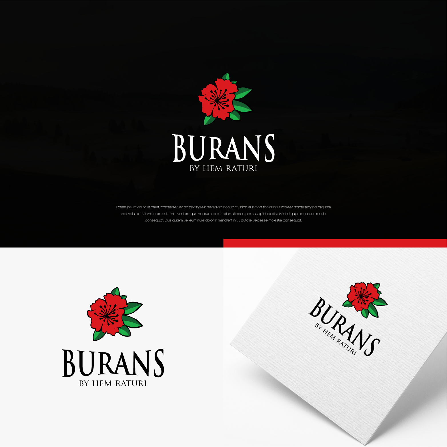 Logo Design by Shigh5 for this project | Design #28065975