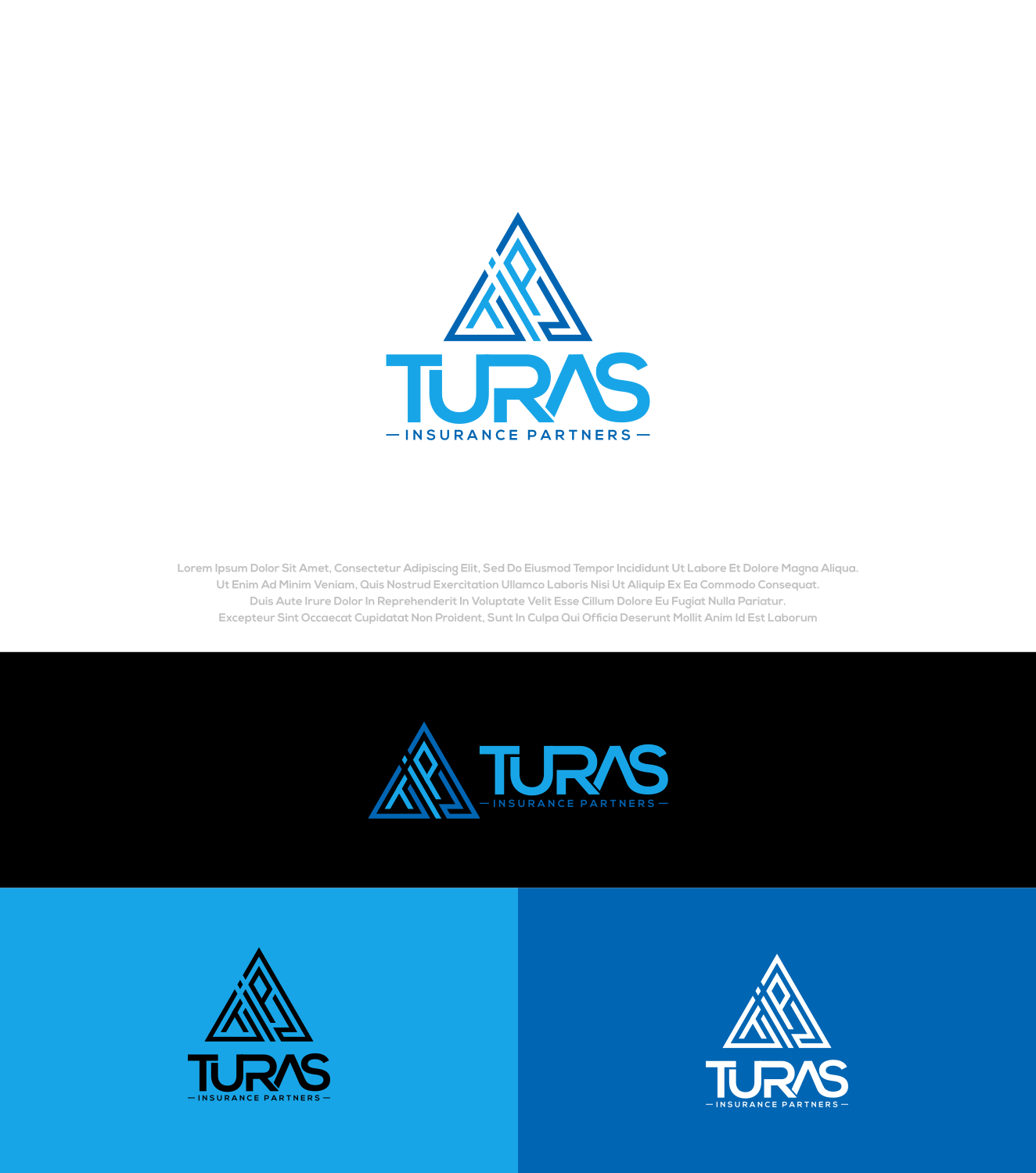 Logo Design by Aditya.DwiRama for Turas Insurance Partners | Design #28030278