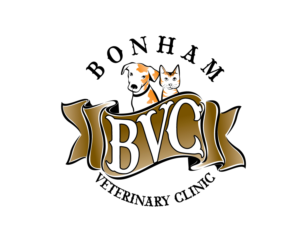 Logo Design by blue eye