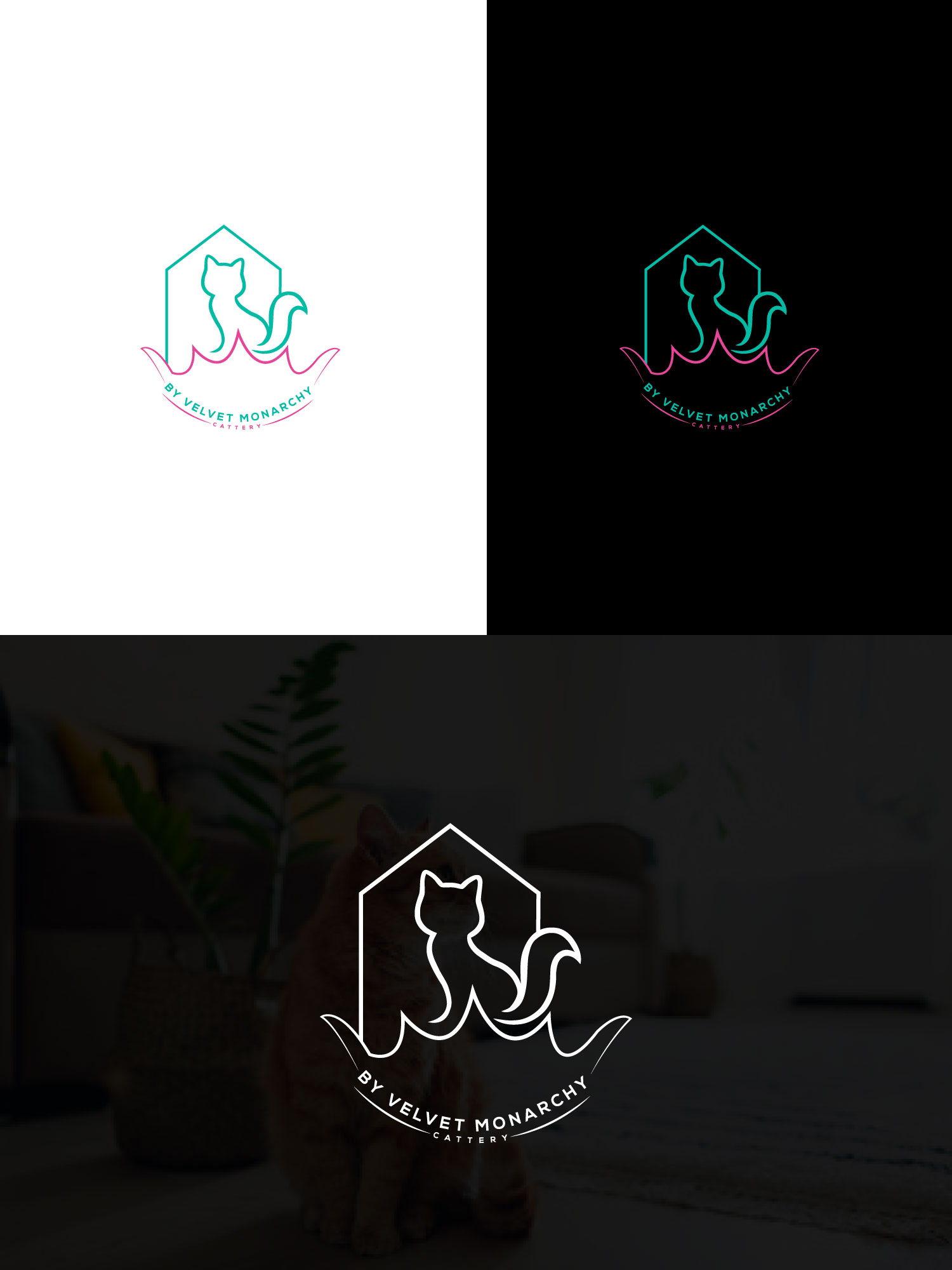 Design de Logo par Black Boy Design pour ce projet | Design : #28036446