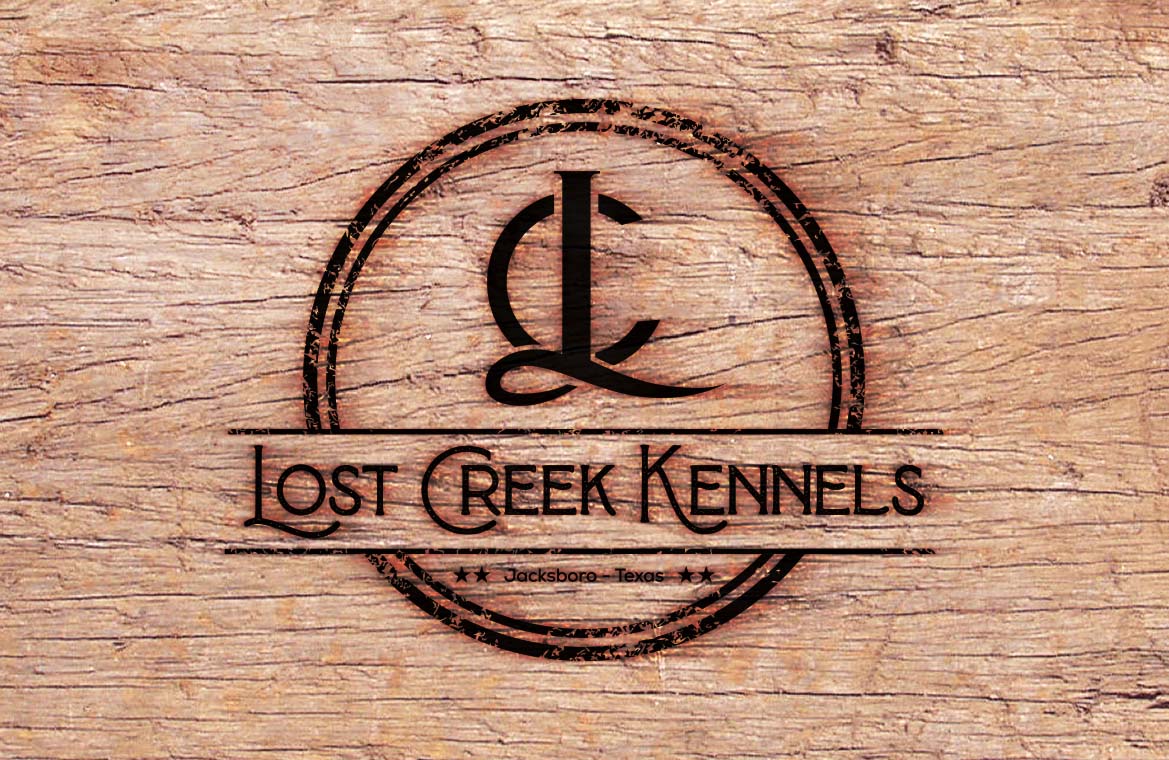 Diseño de Logo por nicolaz para este proyecto | Diseño #28110224