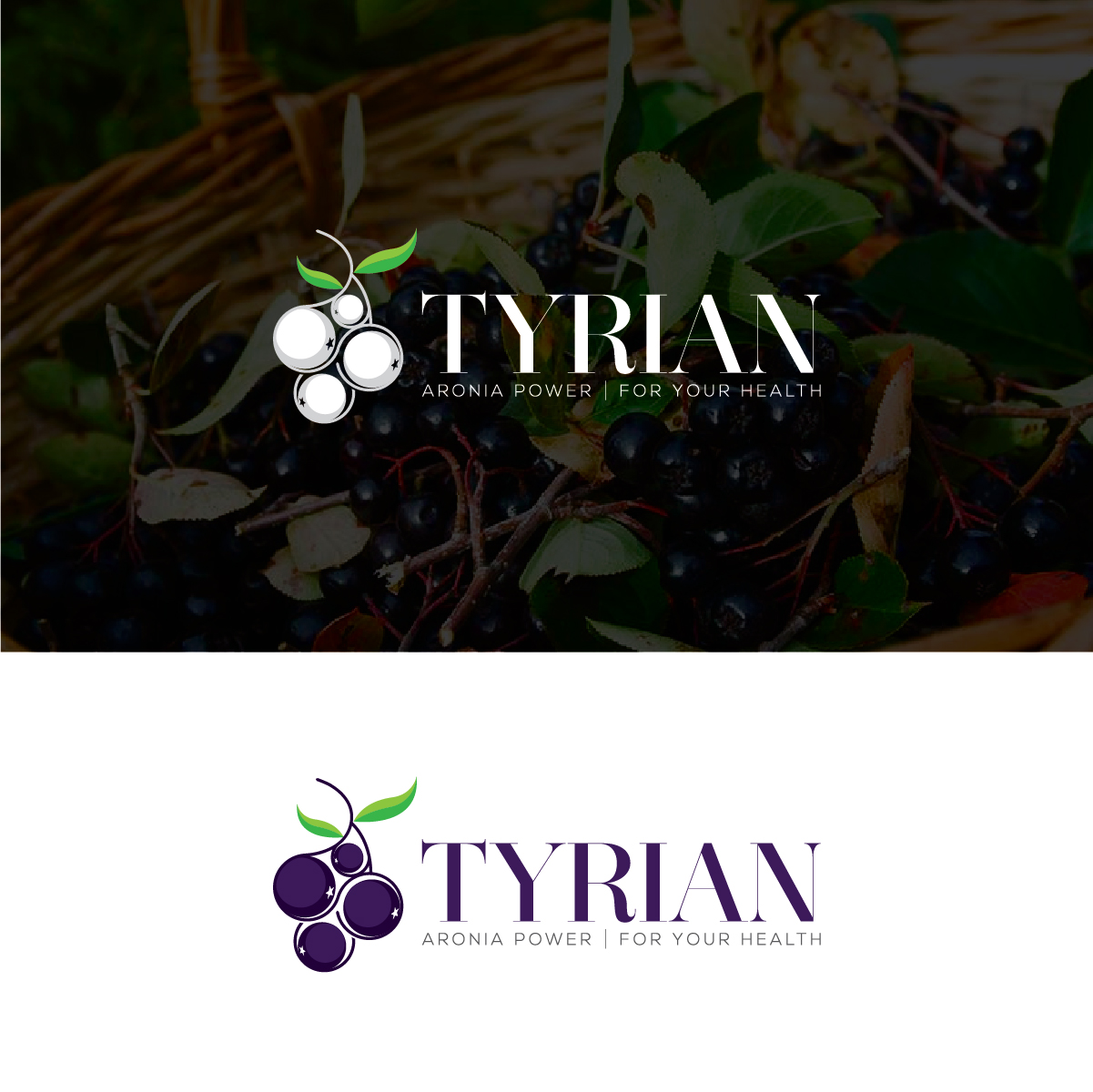 Design de Logo par Deziners Zone pour ce projet | Design #28041579