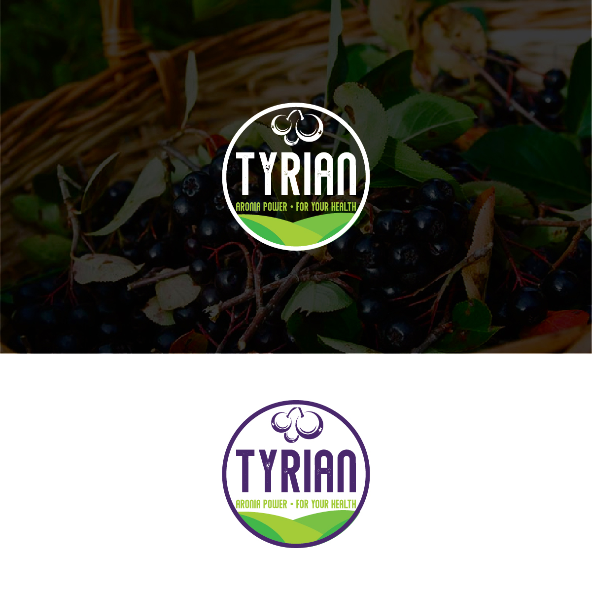 Design de Logo par Deziners Zone pour ce projet | Design #28041581