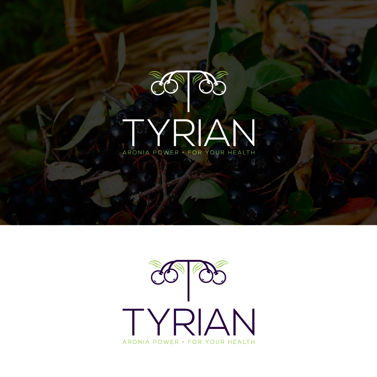 Design de Logo par Deziners Zone pour ce projet | Design #28041586