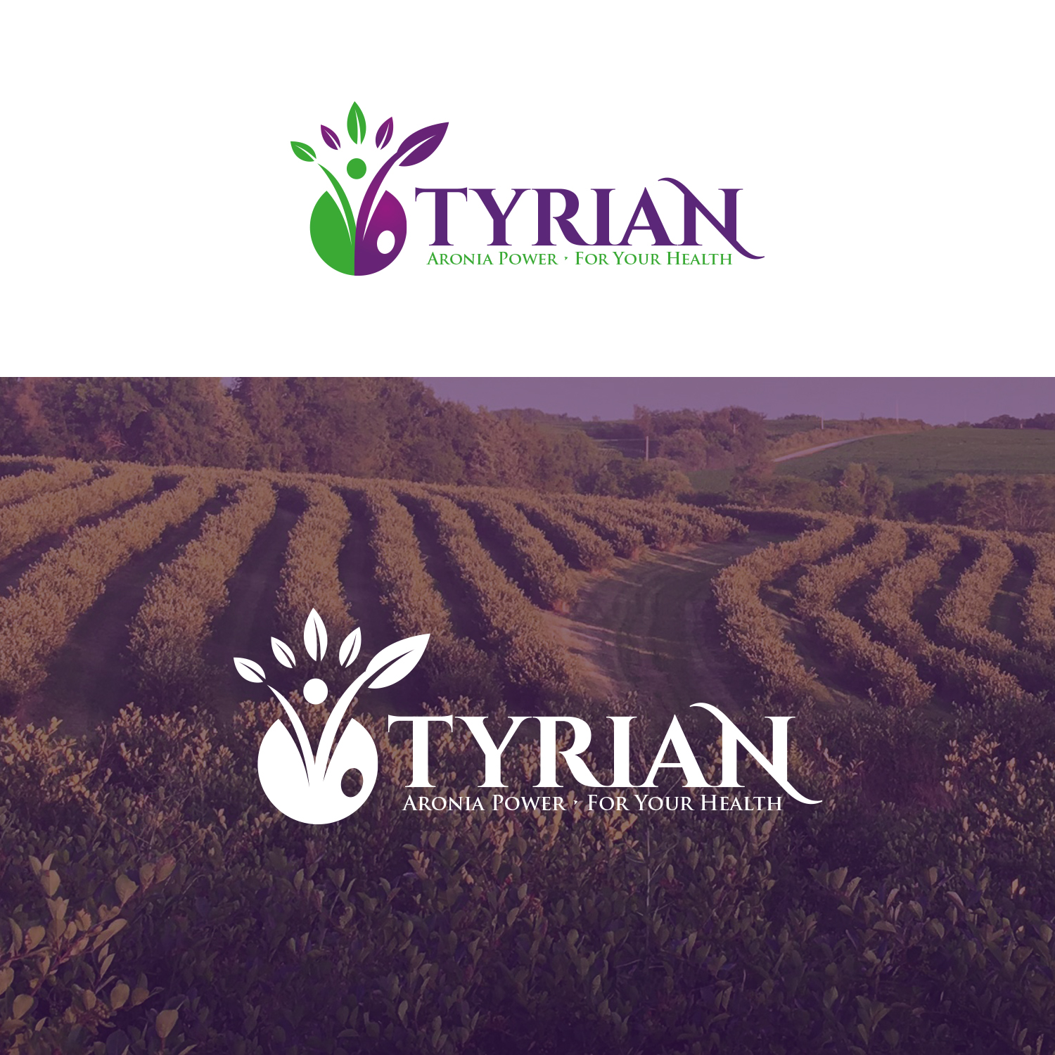 Logo Design by Maxo-Biz for this project | Design #28040588