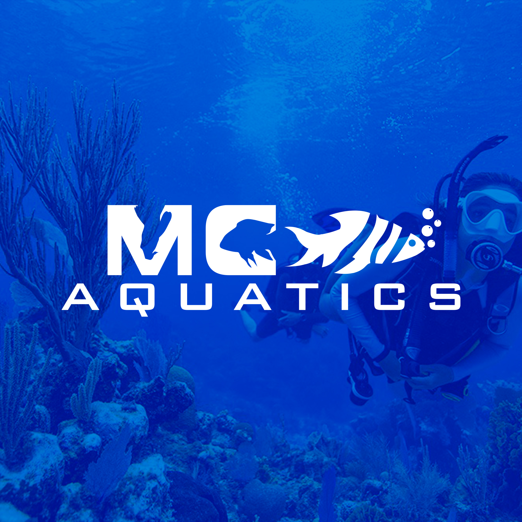 Logo Design by DSCMedia™ for this project | Design #28076553