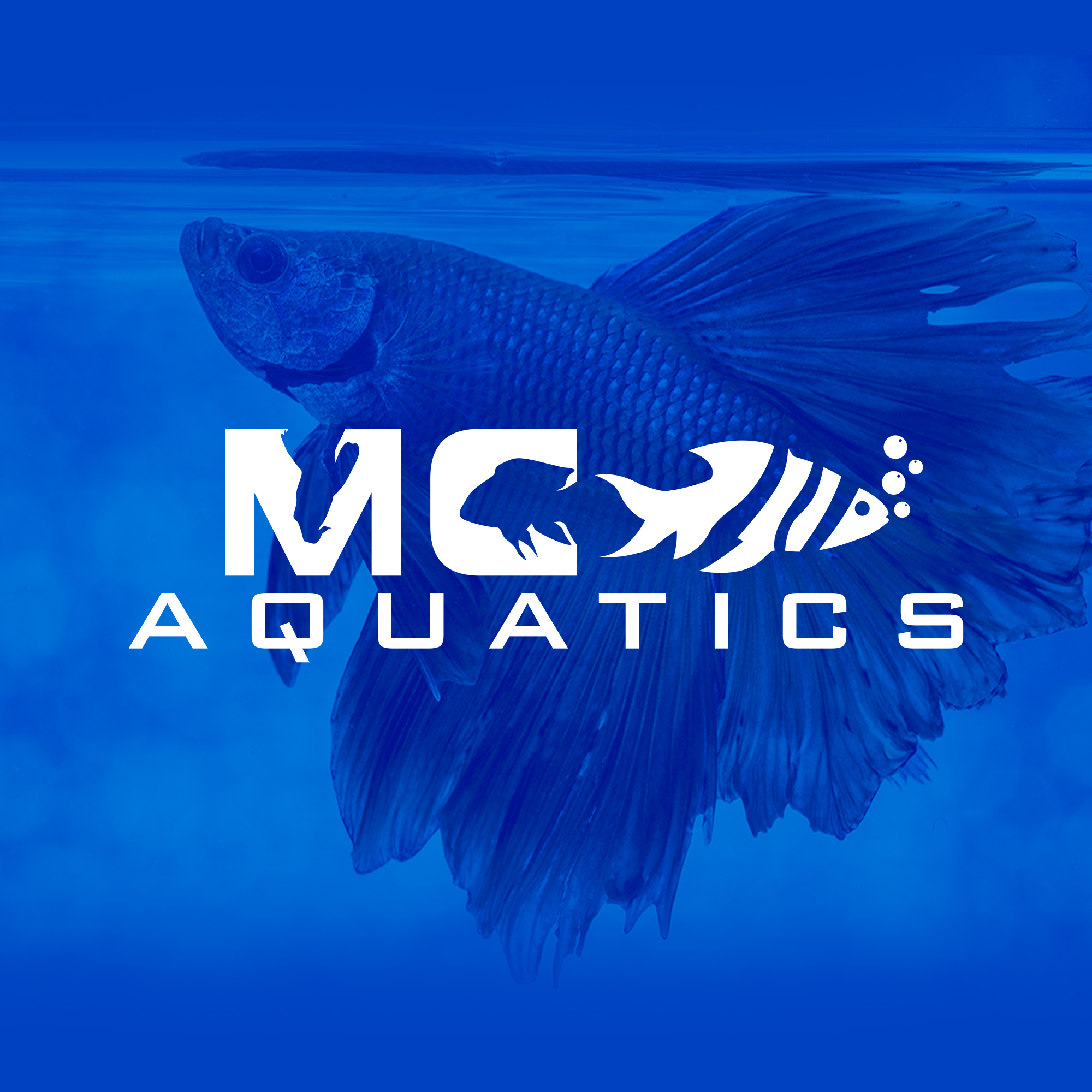 Logo Design by DSCMedia™ for this project | Design #28080153