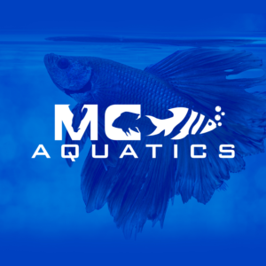 Logo Design by DSCMedia™ for this project | Design: #28080153