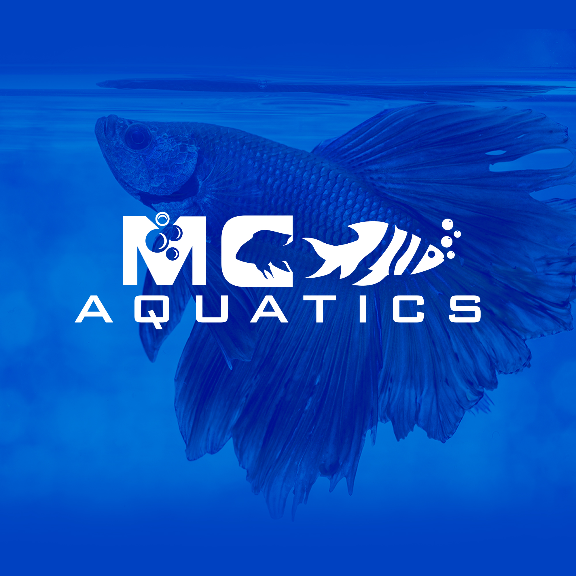 Logo Design by DSCMedia™ for this project | Design #28094961