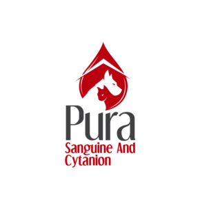 Logo Design by Dream Logo Design for this project | Design: #28047529