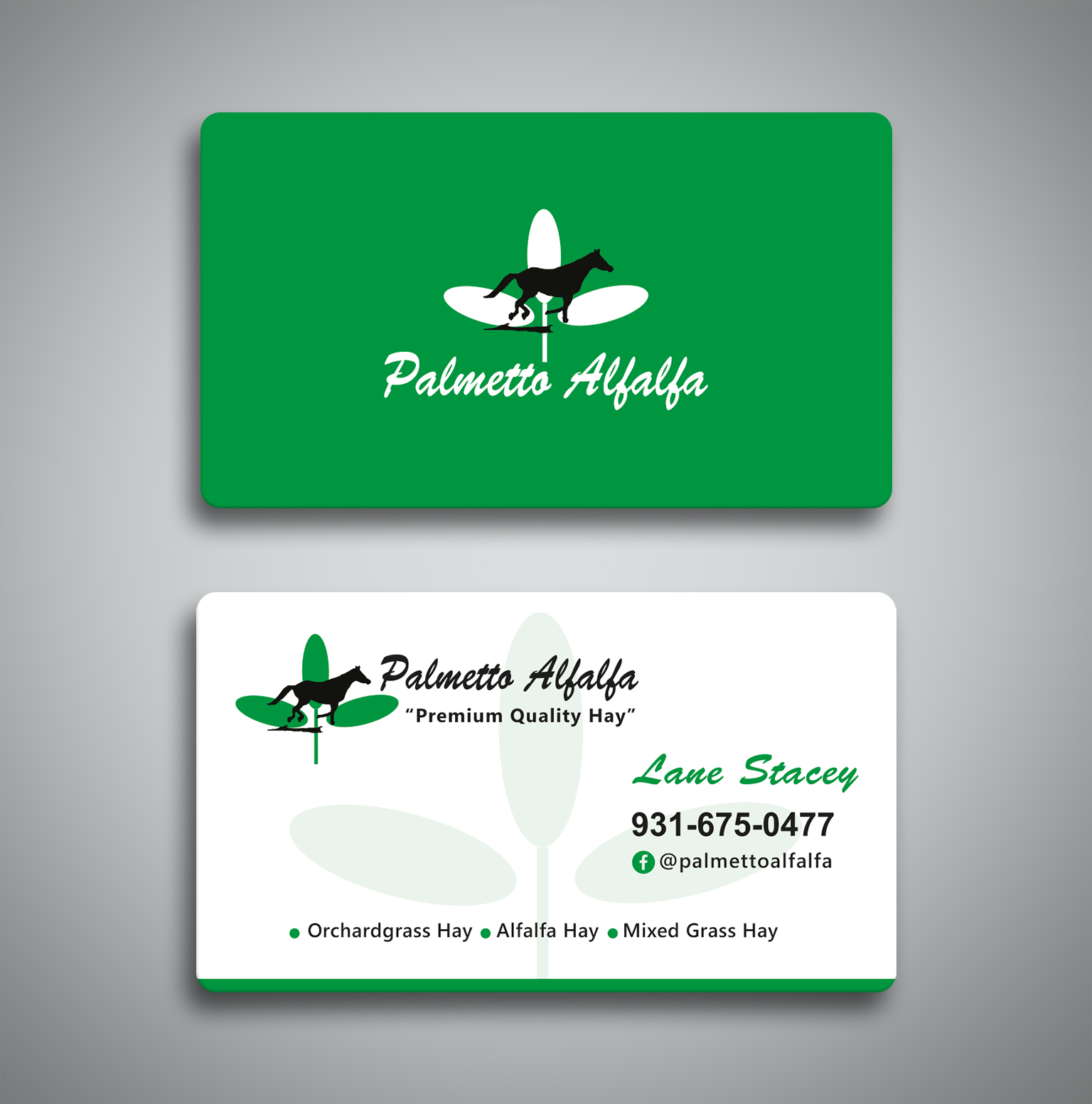 Business Card Design by Creative Moon Design for this project | Design #28037961