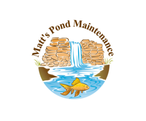 Logo Design by blue eye