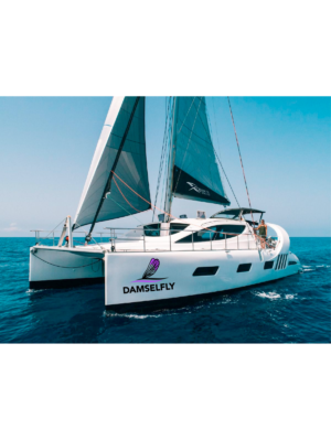 Logo-Design von  geomateo für Sailing Damselfly  | Design: #28045545