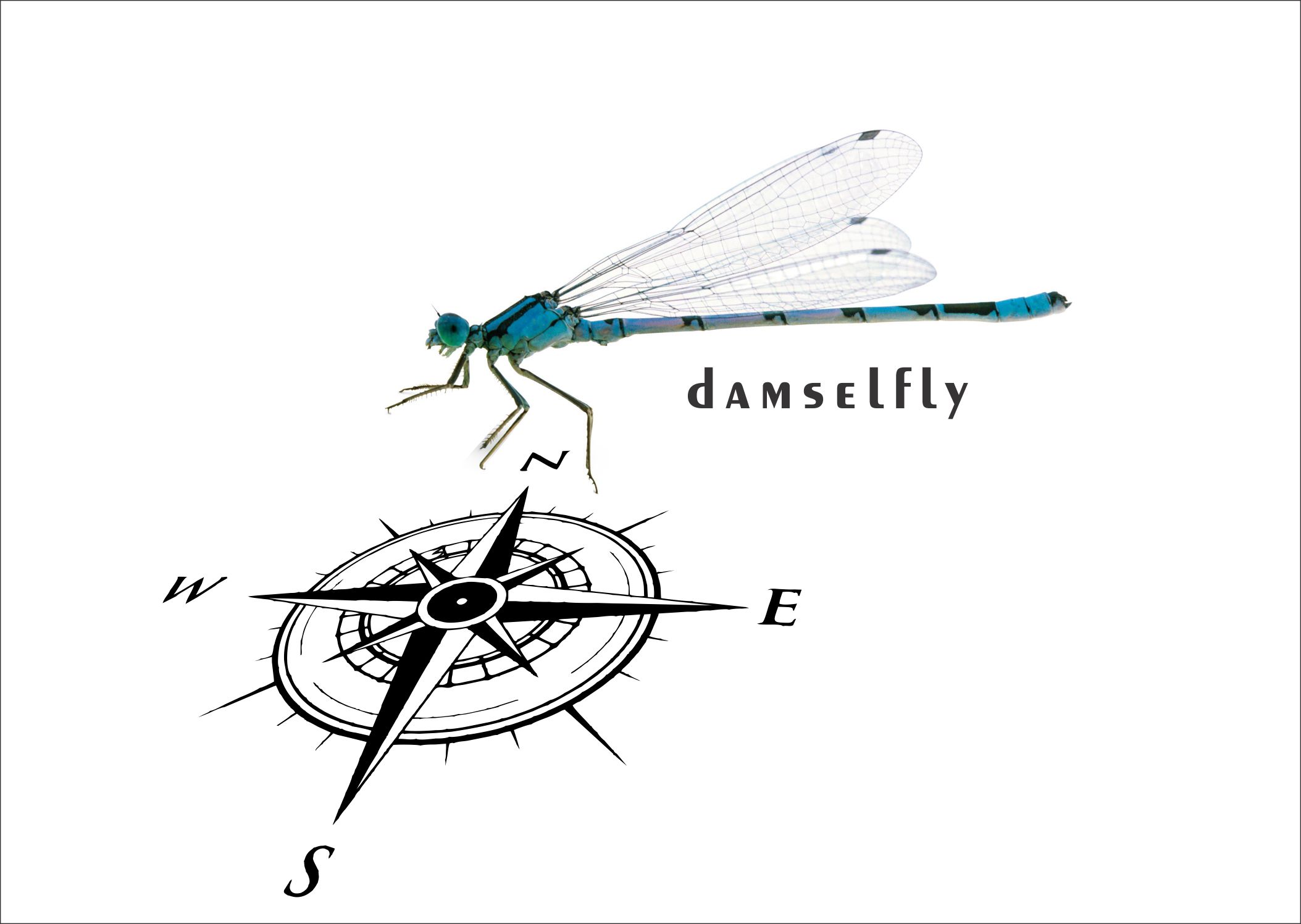 Logo-Design von abdillah.yusuf für Sailing Damselfly  | Design #28045002