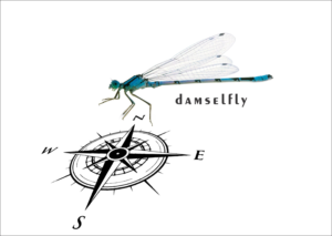 Logo-Design von abdillah.yusuf für Sailing Damselfly  | Design: #28045002