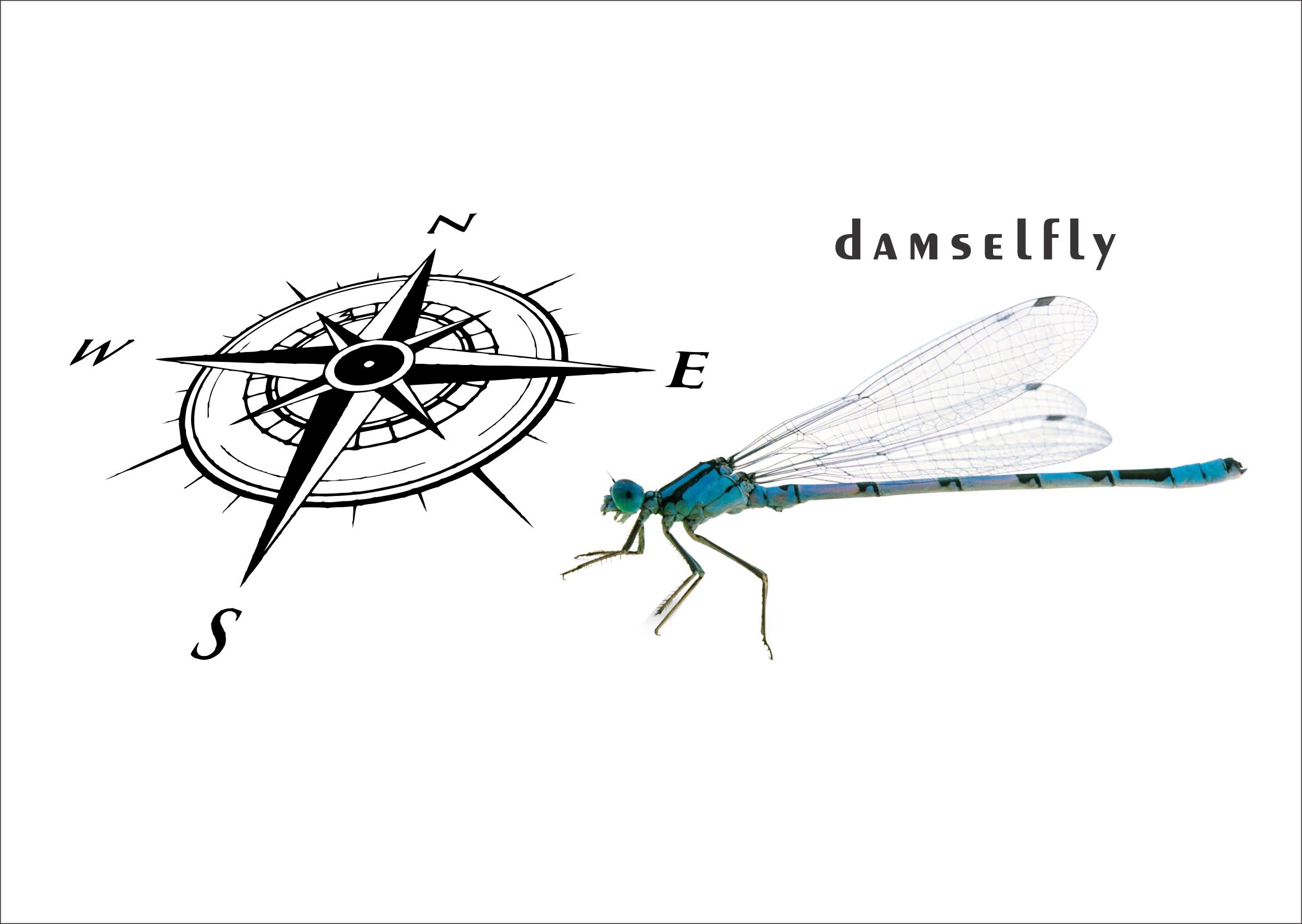 Logo-Design von abdillah.yusuf für Sailing Damselfly  | Design #28045004
