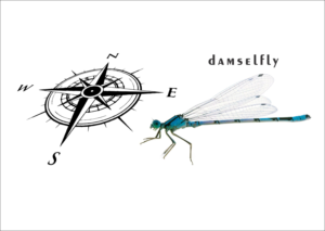 Logo-Design von abdillah.yusuf für Sailing Damselfly  | Design: #28045004