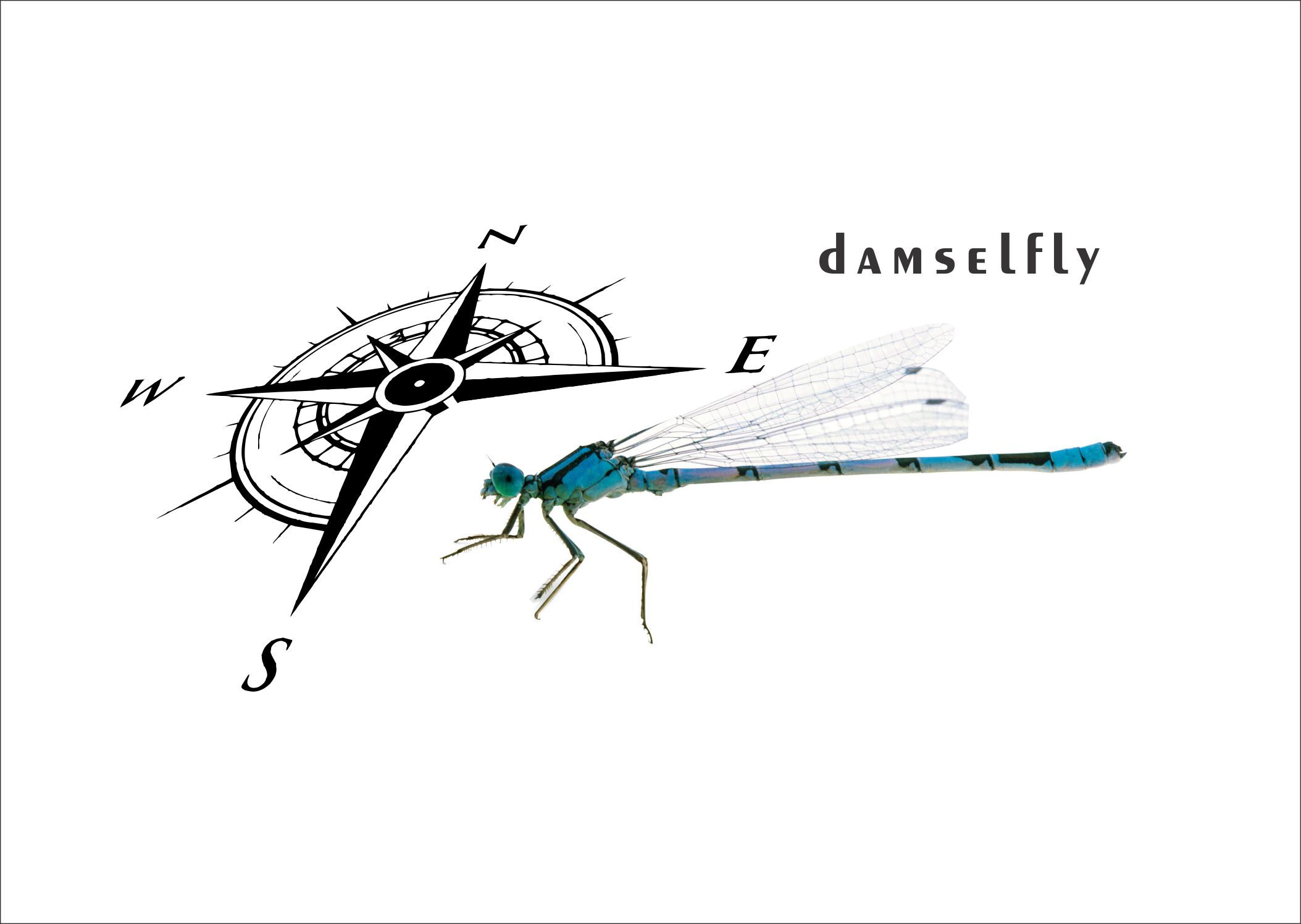Logo-Design von abdillah.yusuf für Sailing Damselfly  | Design #28053593