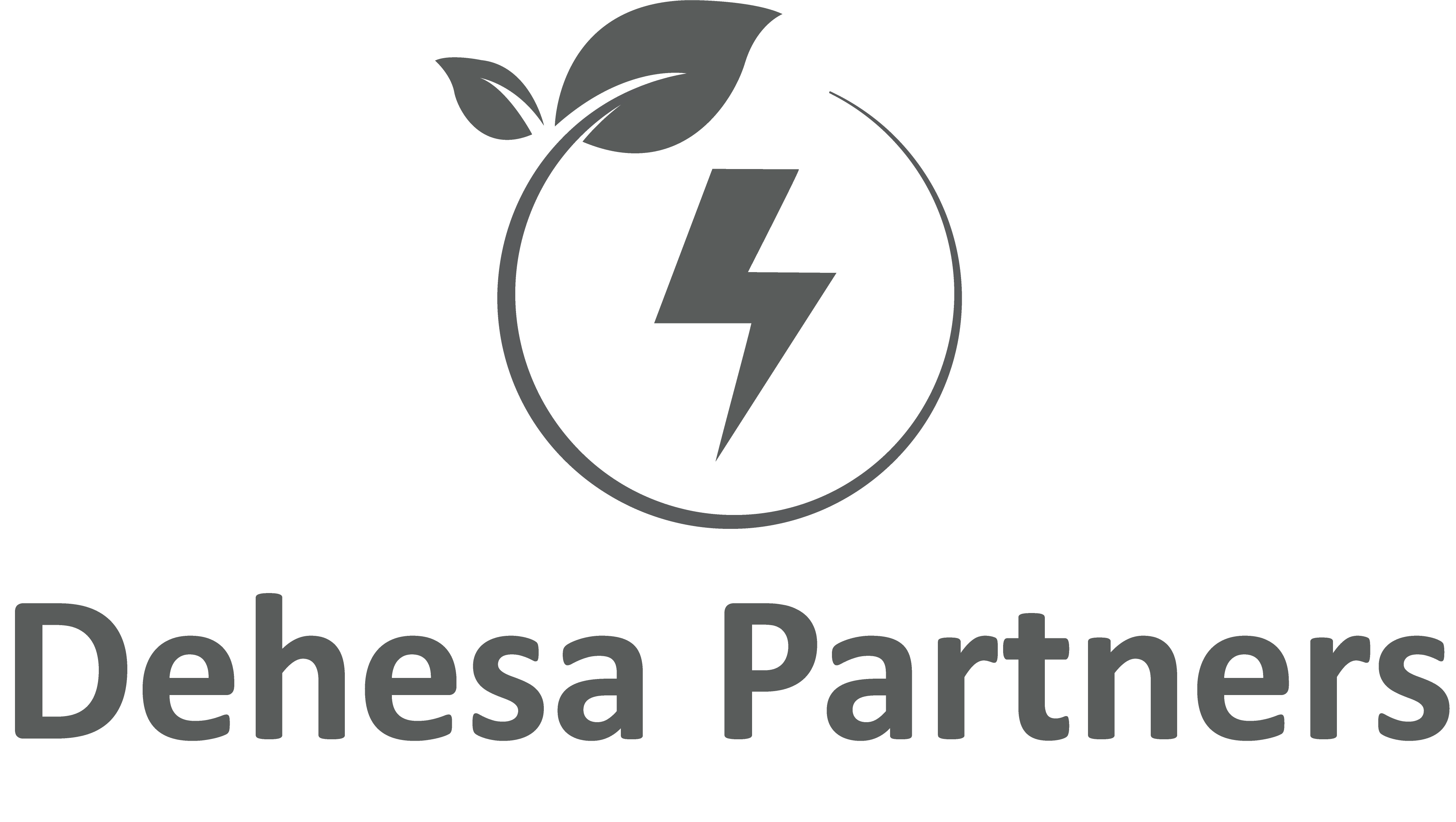 Diseño de Logo por Sanka Arts para Dehesa Partners, S.L. | Diseño #28122586