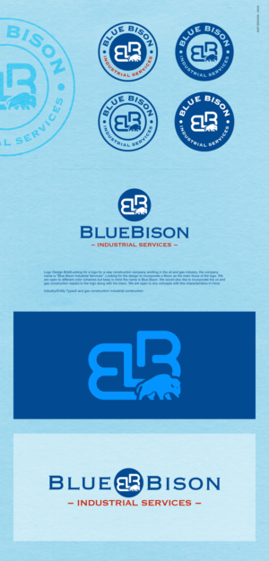 Logo Design by NSP Design for this project | Design: #28111052