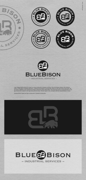Logo Design by NSP Design for this project | Design: #28111067