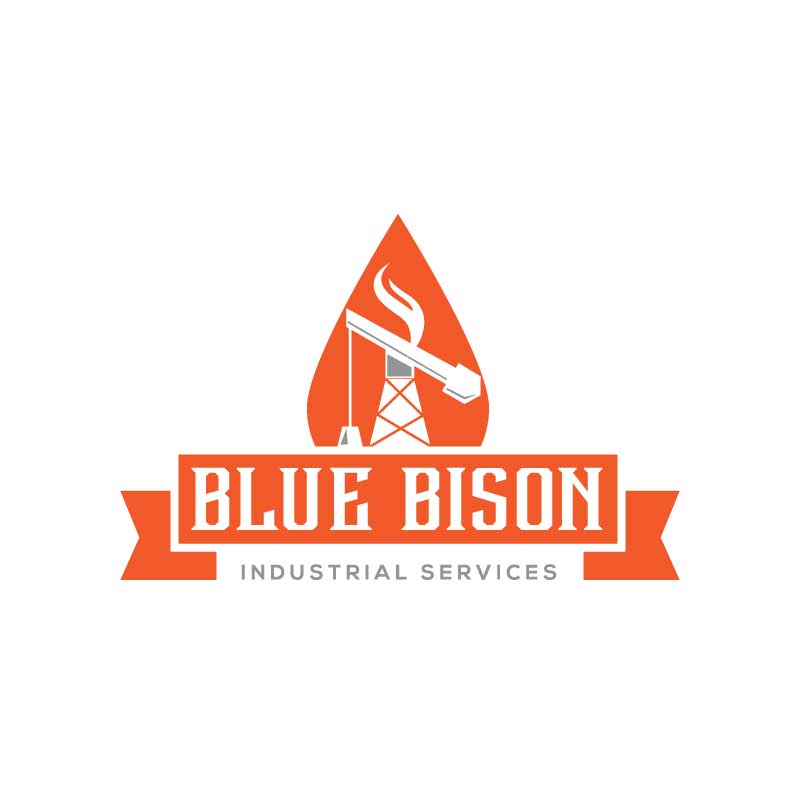 Logo-Design von Ansh Design für dieses Projekt | Design #28046544