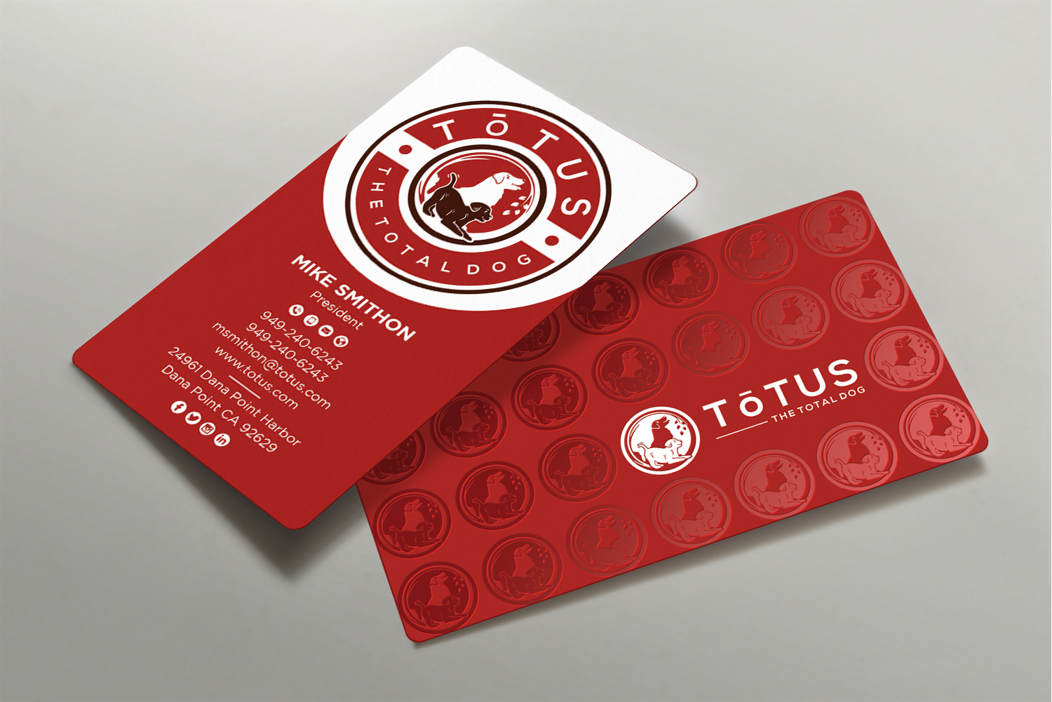 Diseño de Tarjeta de Presentación por DesignShout para My Primal Dog | Diseño #28061301