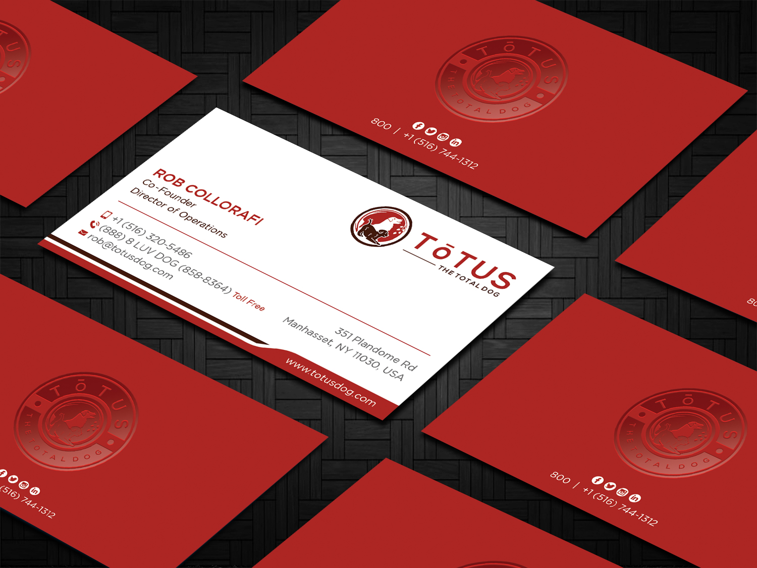 Diseño de Tarjeta de Presentación por DesignShout para My Primal Dog | Diseño #28086485