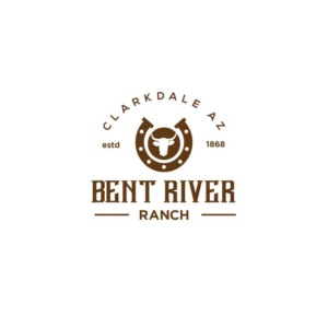 Logo-Design von Ansh Design für dieses Projekt | Design: #28059971