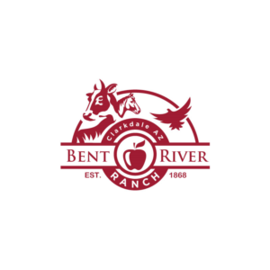 Logo-Design von Ansh Design für dieses Projekt | Design: #28059972