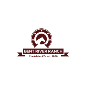 Logo-Design von Ansh Design für dieses Projekt | Design: #28059973