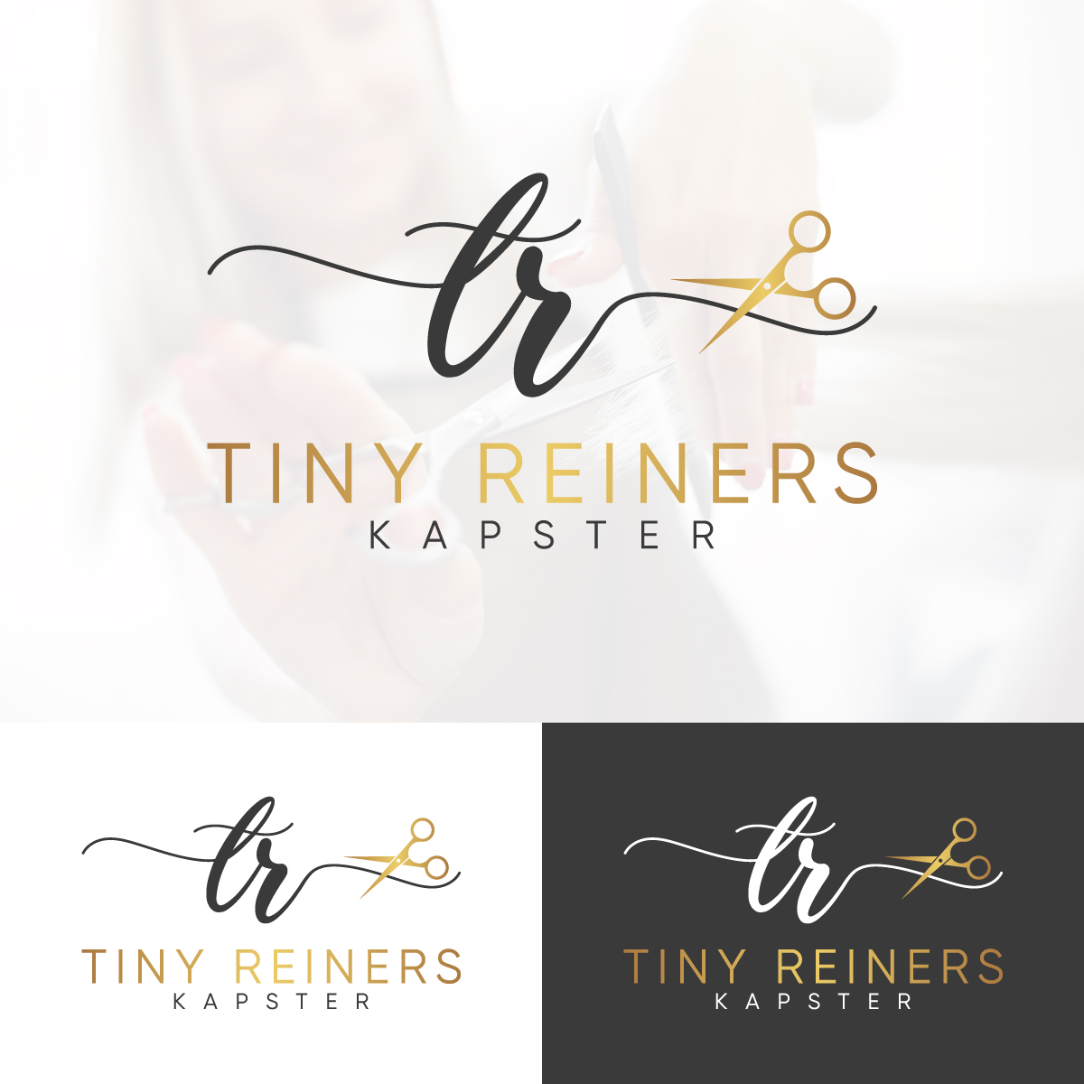 Logo Design by EvoGo Designers for MDV Digital Services | Design #28092711